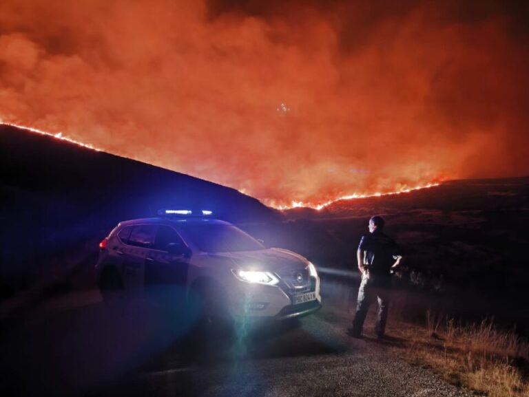 La Junta de Castilla y León aprueba un plan histórico con 45 medidas para recuperar las zonas arrasadas por los incendios de 2025