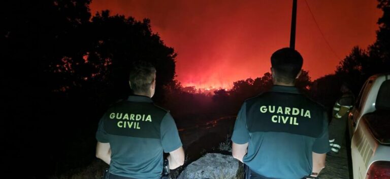 Más de 300 efectivos del Gobierno de España luchan sin descanso contra los incendios en Zamora