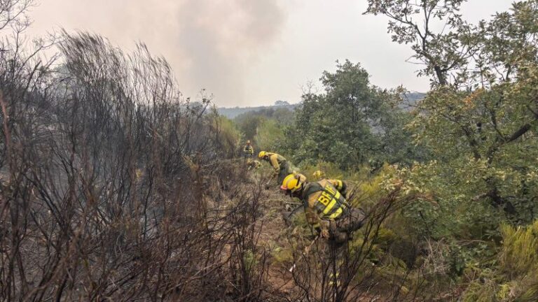 Gana Medina reclama a la Junta un plan urgente contra los incendios forestales