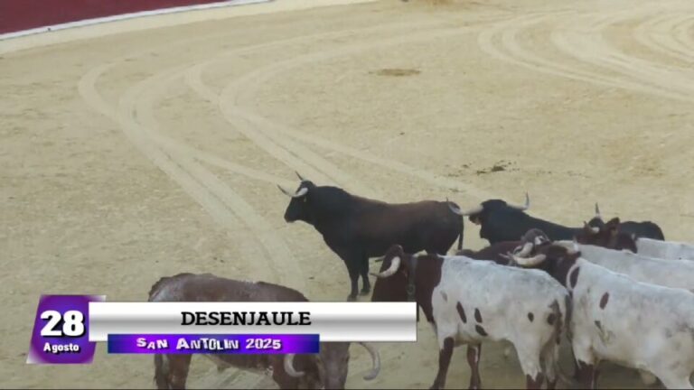 Desenjaule – San Antolín 2025 Medina del Campo