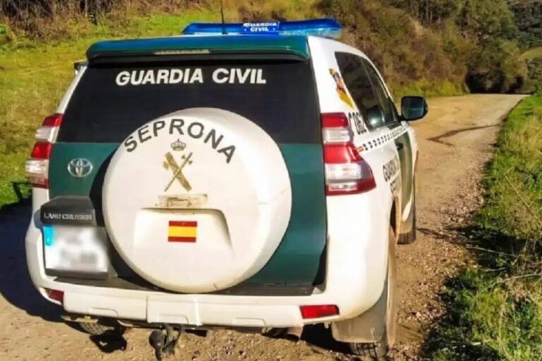 Brutal ataque de un perro peligroso en Laguna de Duero: una mujer herida y otro can gravemente lesionado