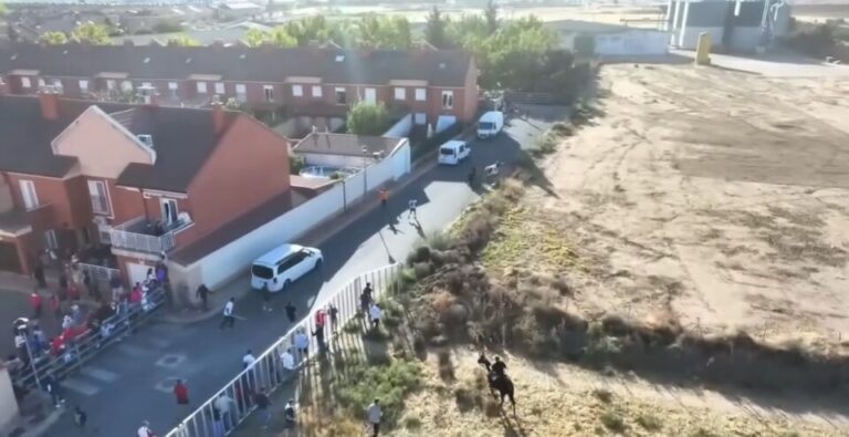 Medina del Campo reforzará el atalancado del encierro para evitar reses escapadas como el pasado 6 de septiembre 
