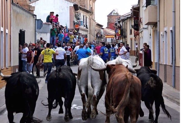 Un toro se escapa de un encierro y embiste a un anciano en su huerto en Mayorga