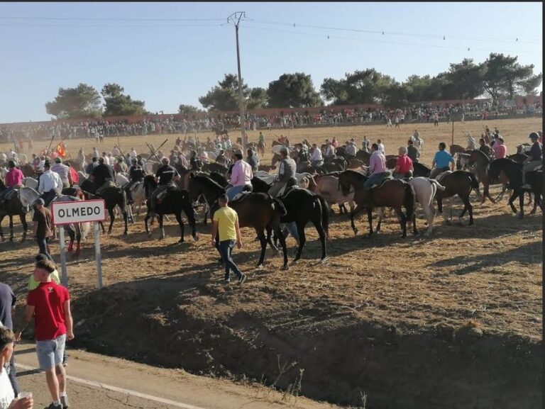 Olmedo inaugura sus tradicionales encierros con una jornada multitudinaria