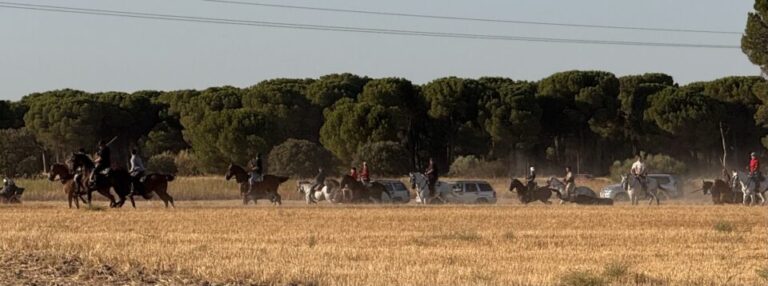 Medina del Campo: el tercer encierro termina con varios heridos tras momentos de pánico