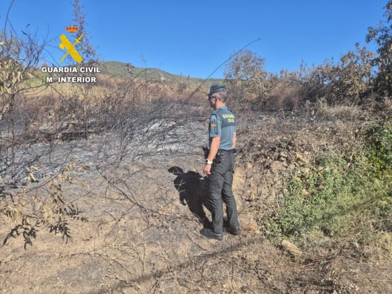 Detenido un hombre por provocar un incendio en San Juan de Paluezas que casi alcanza varias casas
