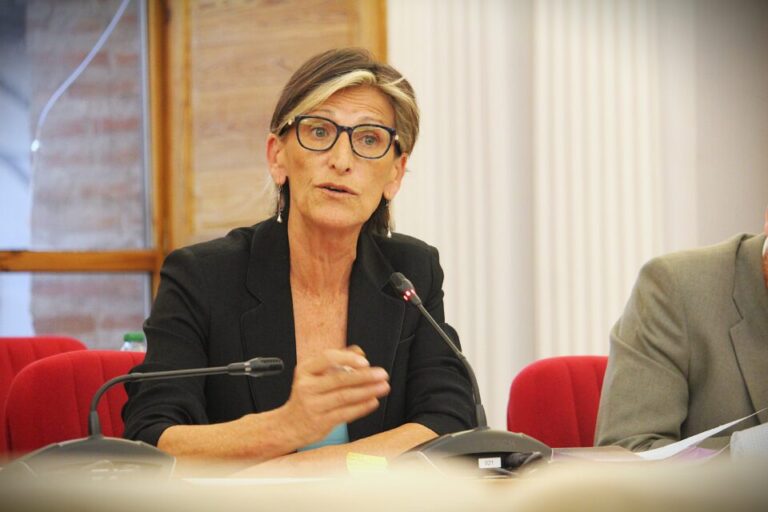 La concejala socialista Candelas Laguna dimete por motivos personales en Medina del Campo 