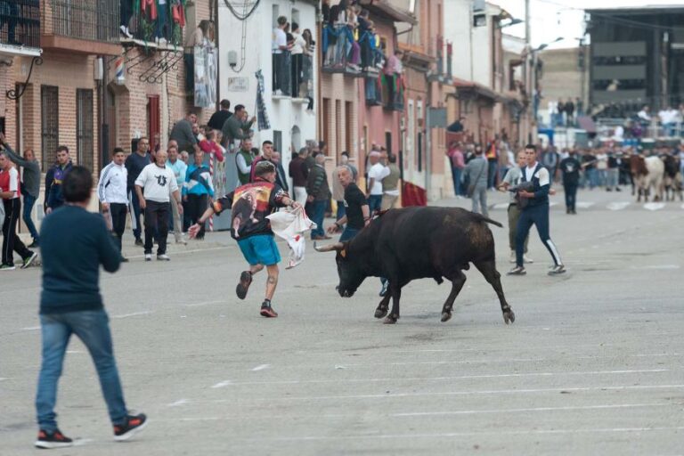 Rueda calienta motores para su «Toro de la Vendimia»