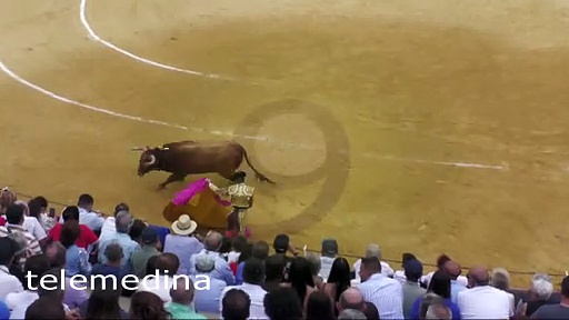 Susto de Borja Jiménez en la plaza de toros de Medina del Campo