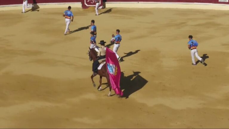 Concurso Nacional de Cortes – San Antolín 2025, Medina del Campo