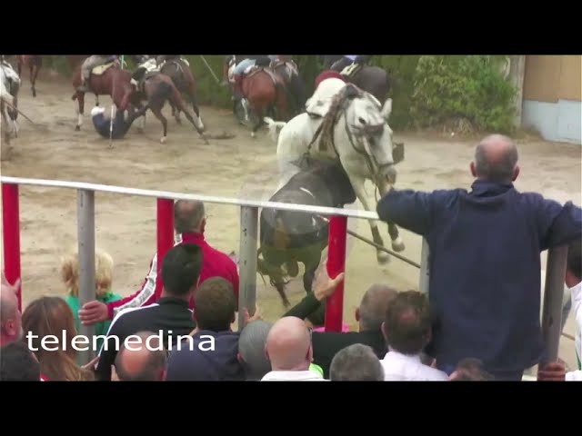 Vídeo: Momento en el que un toro embiste a un caballo en el encierro del 7 de septiembre de Medina del Campo