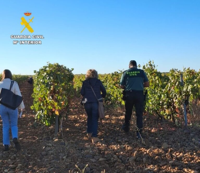 Guardia Civil e Inspección de Trabajo detectan irregularidades laborales en la vendimia de Valdevimbre y Los Oteros