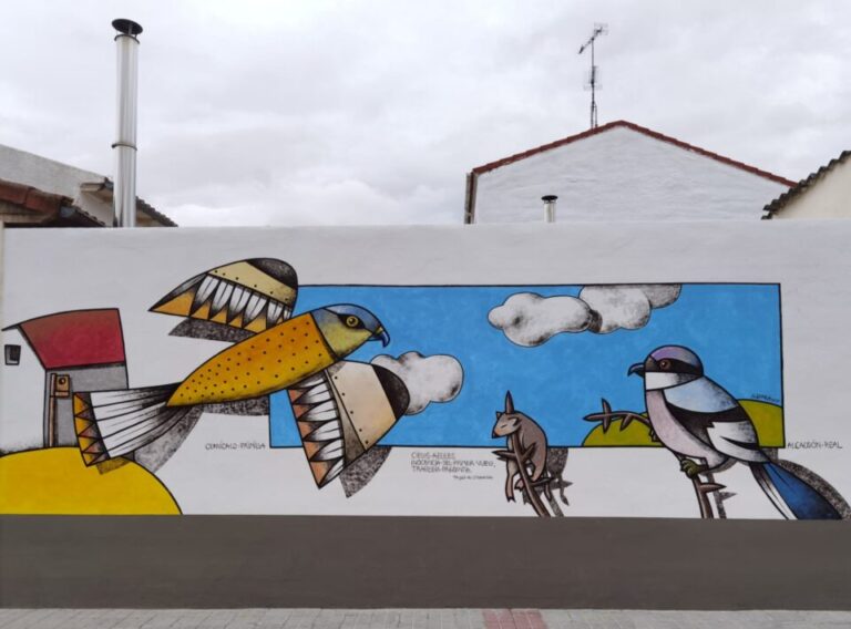 MURAVES en Medina del Campo
