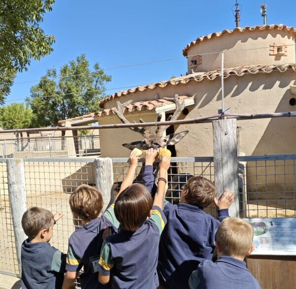 La solidaridad cobra vida con la celebración de los primeros Premios Solidarios «Memorial Inés Marcos» de la Era de las Aves, de Fresno el Viejo
