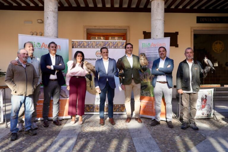 Nava del Rey se convertirá en la capital mundial de la cetrería con un encuentro internacional único en Valladolid