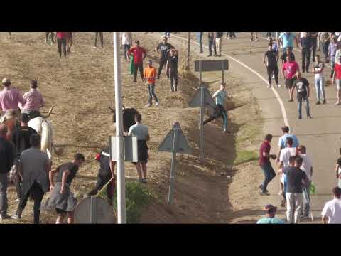 Olmedo – Encierro de la Soterraña 2025