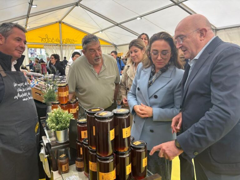 Tierra de Sabor se luce en la Seminci: 100.000 € para promocionar la gastronomía de Castilla y León en Valladolid
