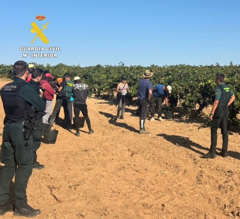 Policía Nacional y Guardia Civil refuerzan los controles durante la vendimia sin detectar explotación laboral