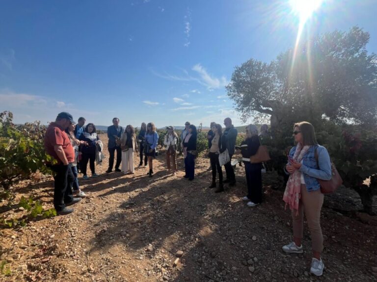 La Milla de Oro del Vino deslumbra a los periodistas especializados de la AEPEV en una visita institucional por la Ribera del Duero