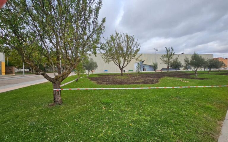 El Ayuntamiento de Tordesillas realiza trabajos de poda y mantenimiento en las zonas verdes