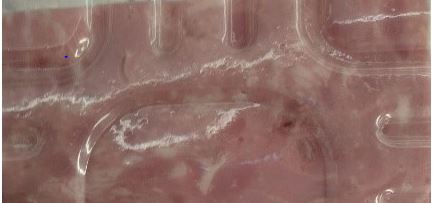 Detectan bacteria Listeria monocytogenes en producto cárnico