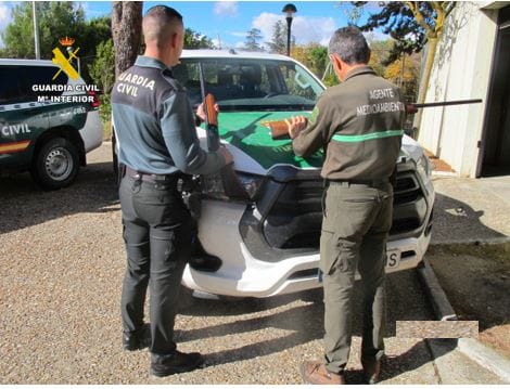 Cazadores sorprendidos en Olmedo durante una batida ilegal: se enfrentan a multas de hasta 10.000 euros