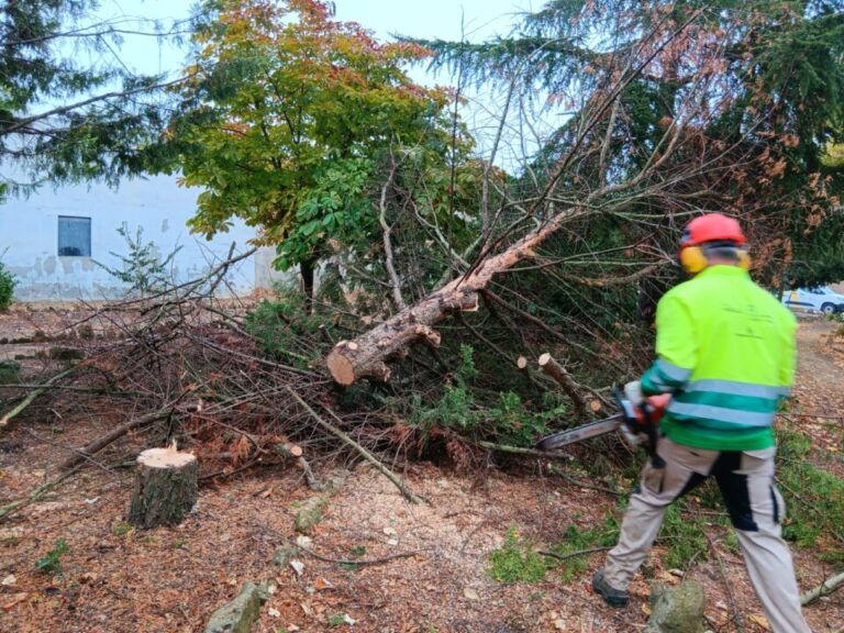 El programa forestal provincial consolida su labor con más de 1.800 intervenciones