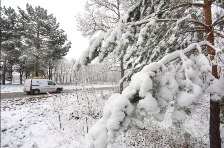 Nieve en capitales y desplome de temperaturas: llega un fuerte temporal invernal a partir del viernes