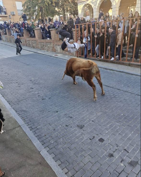 Tres toros correrán en Castronuño por San Blas
