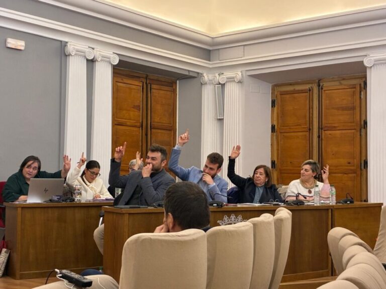 Oposición PSOE, GANA MEDINA Y VOX votan en Medina del Campo