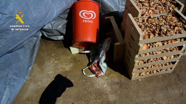 Detenidos en Albacete y Cuenca los tres autores del violento atraco en un local de El Burgo de Osma
