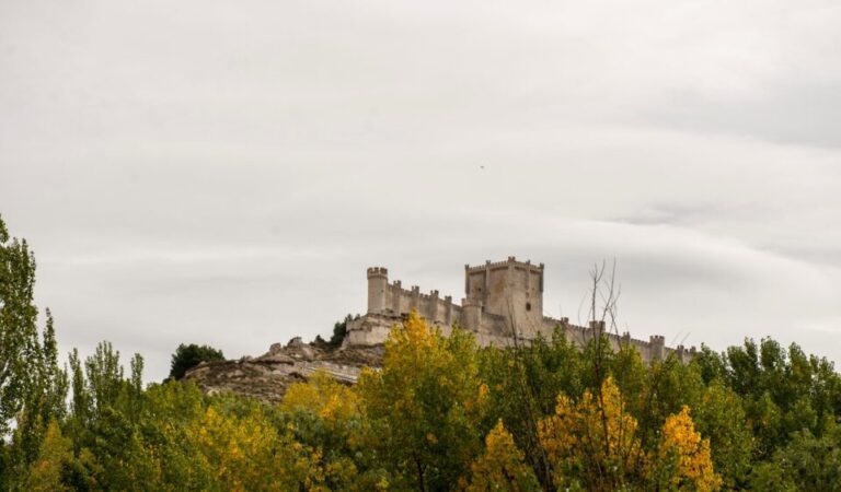 museo del vino Peñafiel en Valladolid