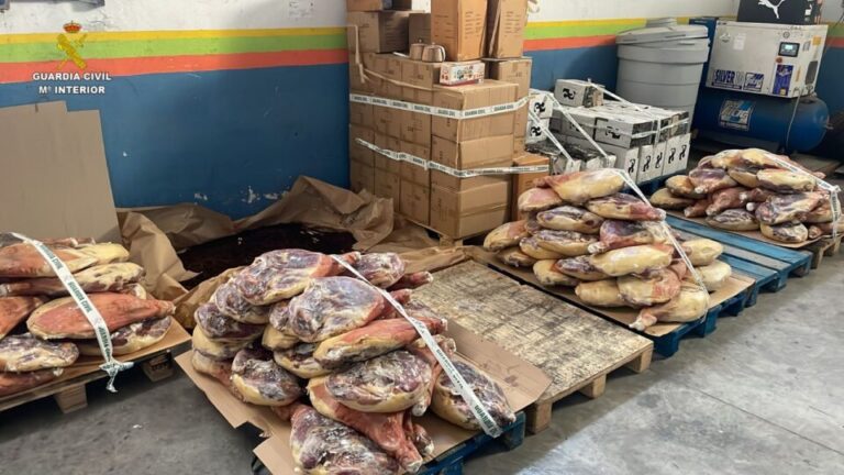 Desarticulado un grupo criminal que robaba mercancía en camiones en seis provincias