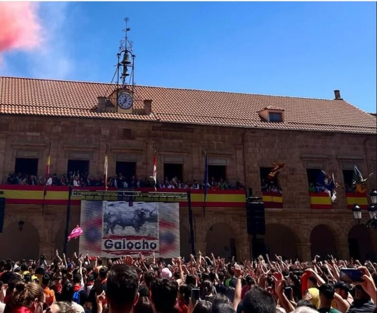 Benavente toro en Castilla y León