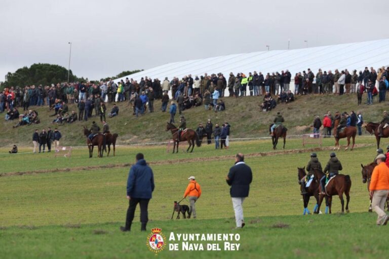 Campeonato Galgos
