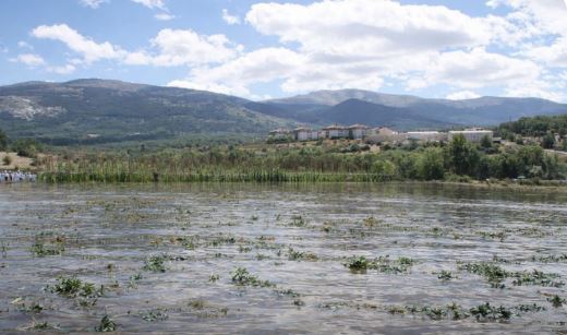 Cultivos con agua en Castilla y León
