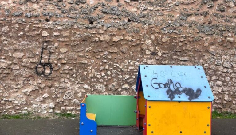 Olmedo vandalismo