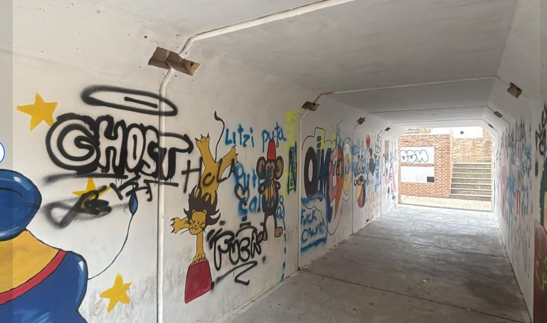 Vandalismo Olmedo