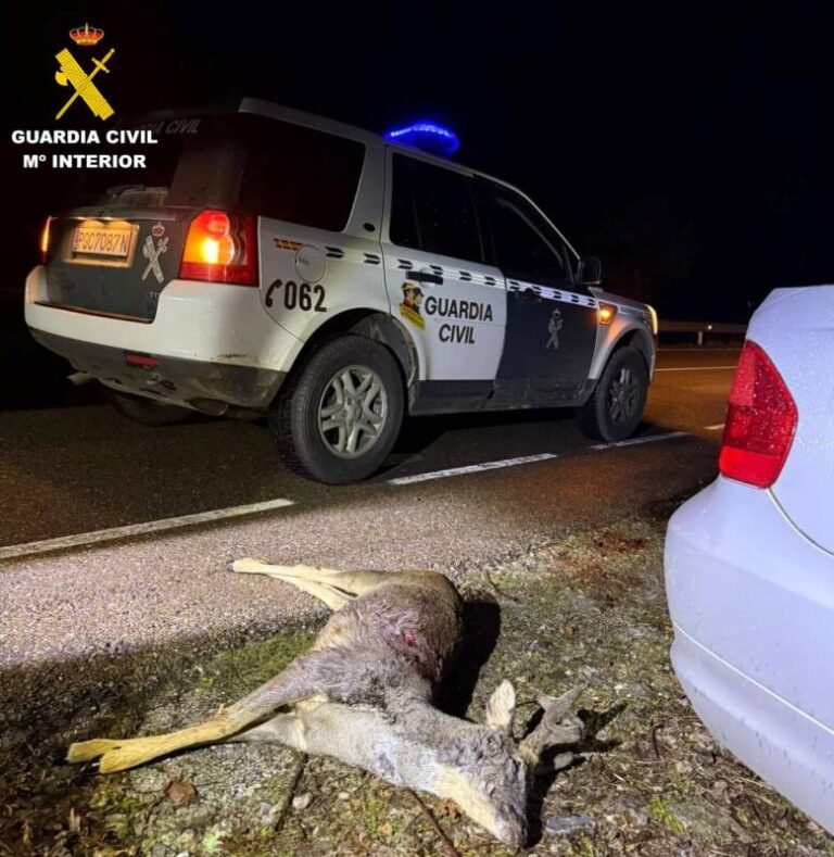 Investigados dos hombres por abatir un corzo en plena veda en El