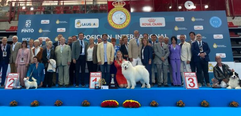 Concurso canino Valladolid