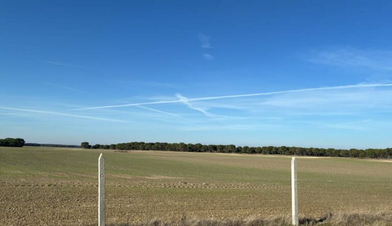 Ruta hacia las Lagunas Reales en Medina del Campo