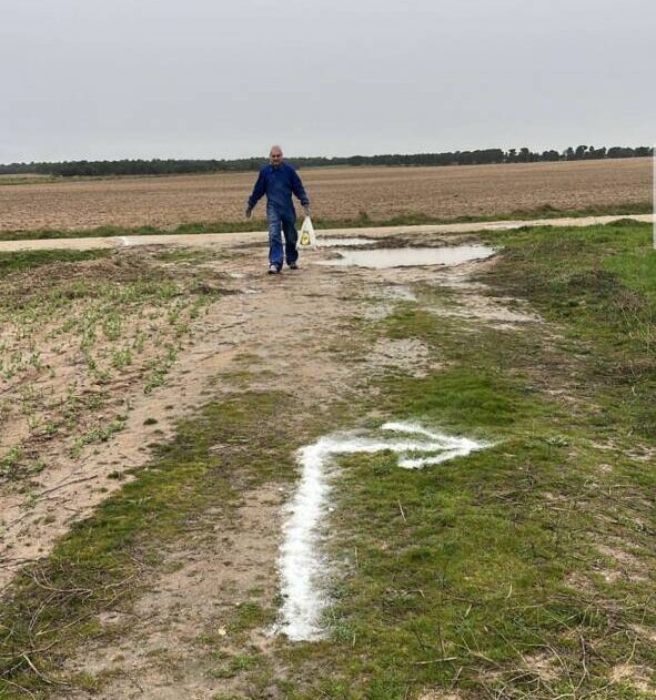 Trabajo en el terreno de Bobadilla del Campo