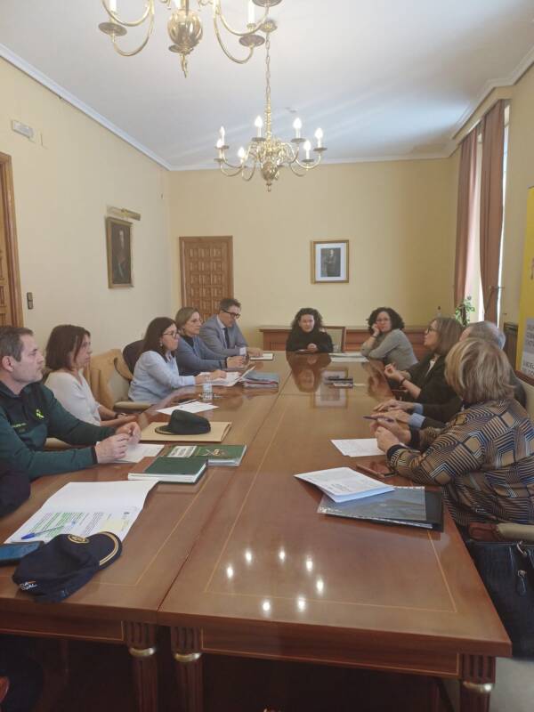 comision violencia avila