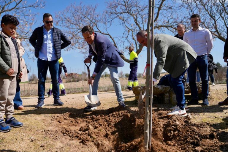 plantacion arbol en Valladolid