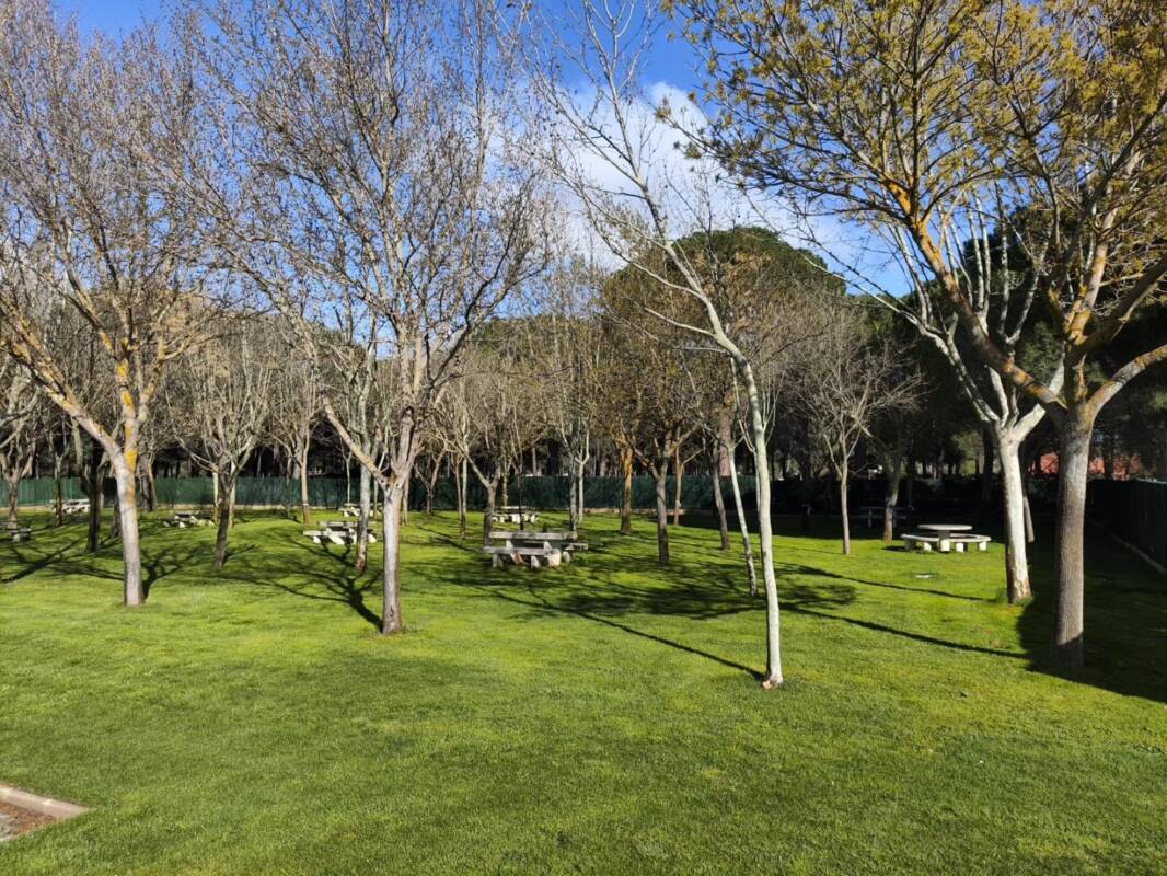 Tordesillas piscina