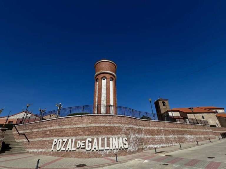 Pozal de Gallinas