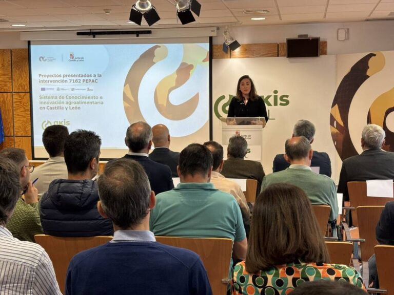 Presentación de los primeros proyectos de la red AKISCyL en Castilla y León