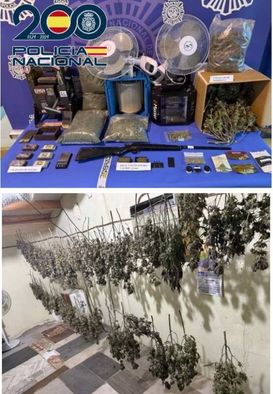 ponferrada marihuana