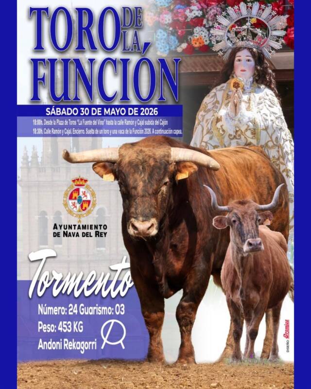 Toro de la Función 2026 Nava