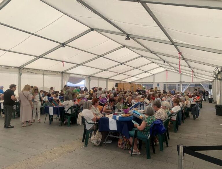 Feria Multilabores en Medina del Campo